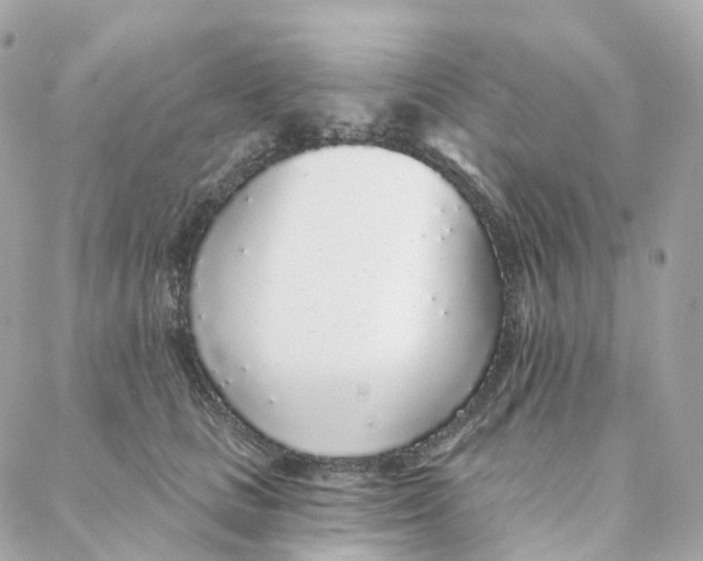 X0000088020661200706011325