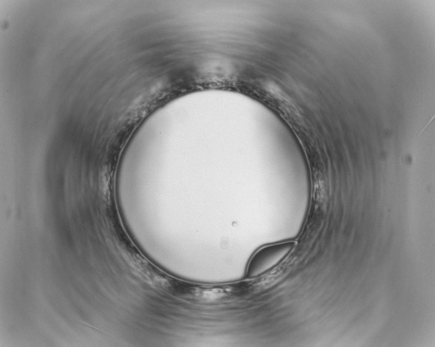 X0000088020662200706011325