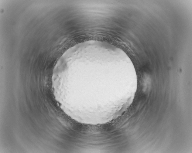 X0000088020663200706011325