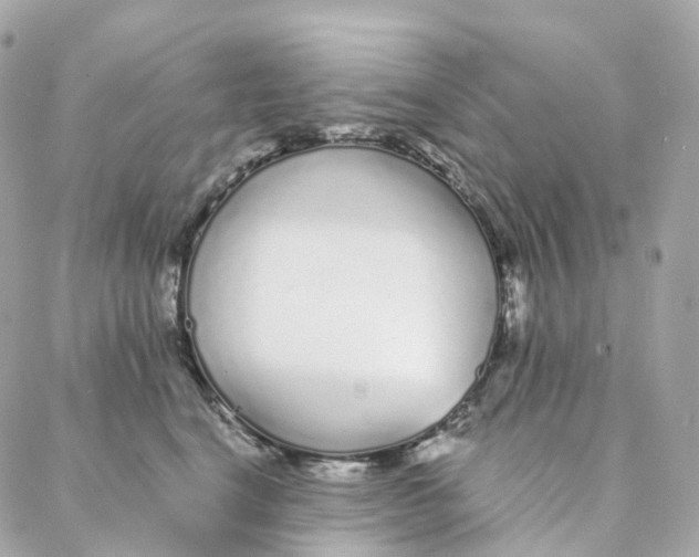 X0000088020664200706011325