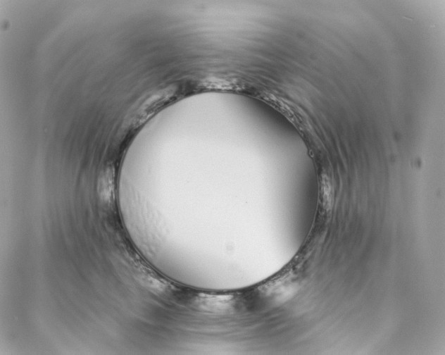 X0000088020665200706011326