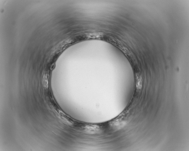 X0000088020666200706011326