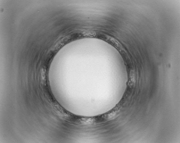 X0000088020667200706011326