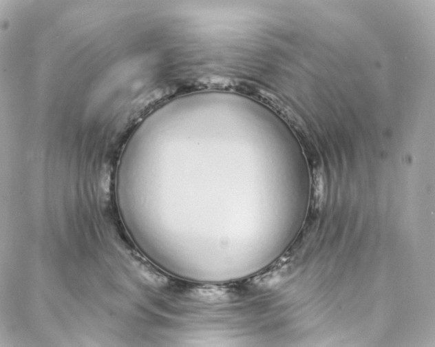 X0000088020668200706011326