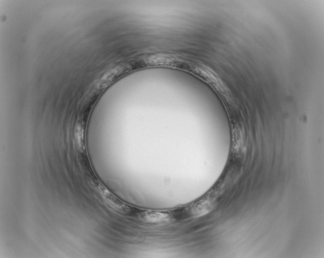 X0000088020669200706011326