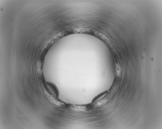 X0000088020670200706011326