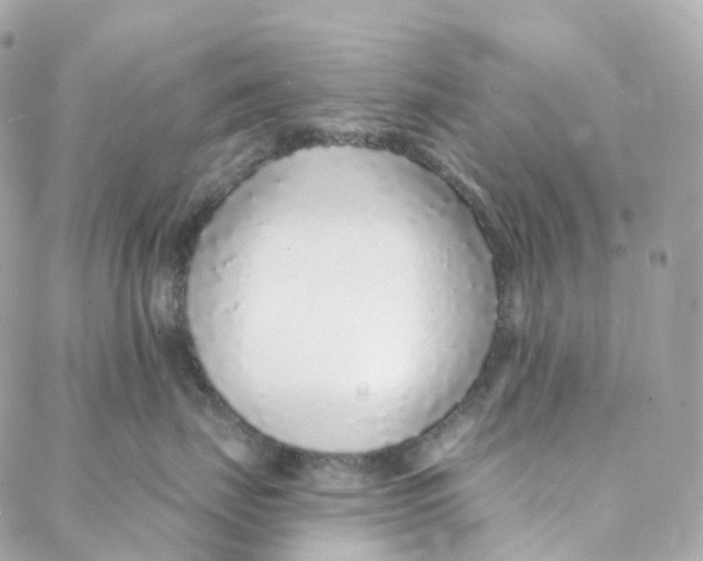 X0000088020671200706011326