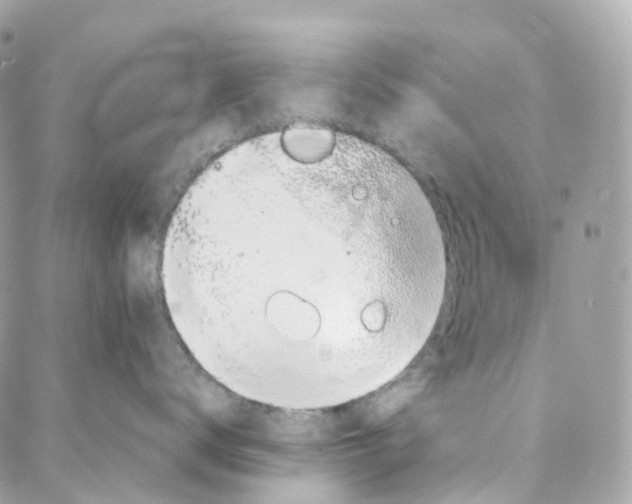 X0000088020672200706011326