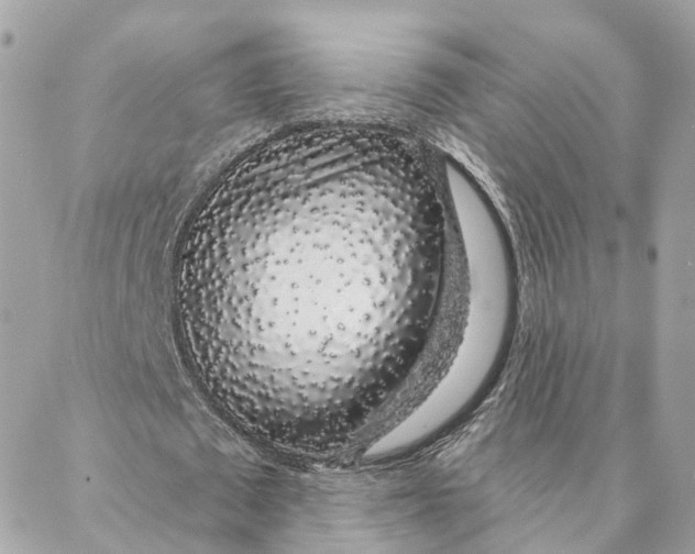 X0000088020673200706011325