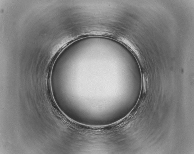 X0000088020675200706011325