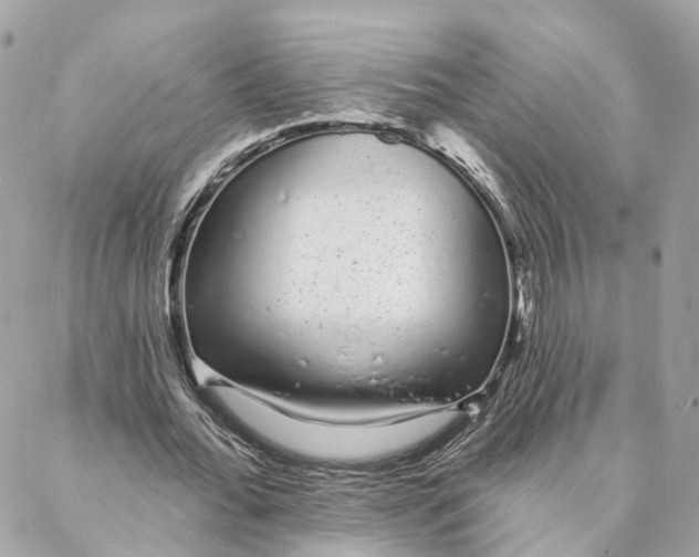 X0000088020676200706011325