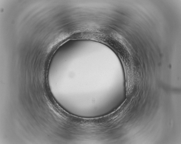 X0000088020677200706011325