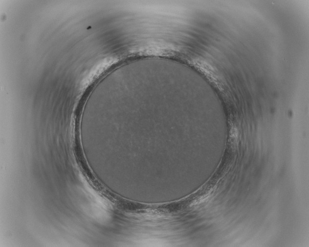 X0000088020678200706011325