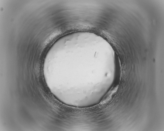 X0000088020679200706011325