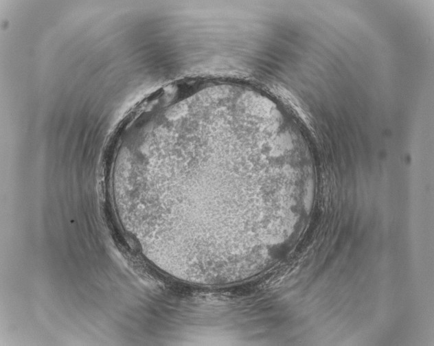 X0000088020680200706011325