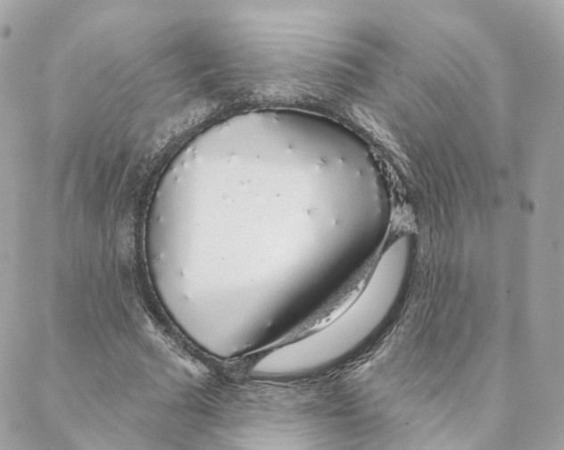 X0000088020681200706011325