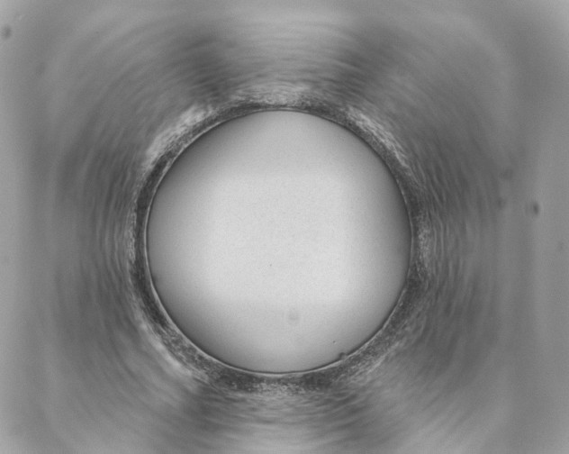 X0000088020682200706011325