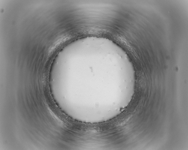 X0000088020683200706011325