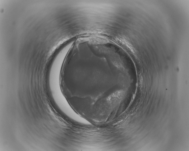 X0000088020684200706011325