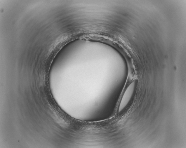 X0000088020685200706011325