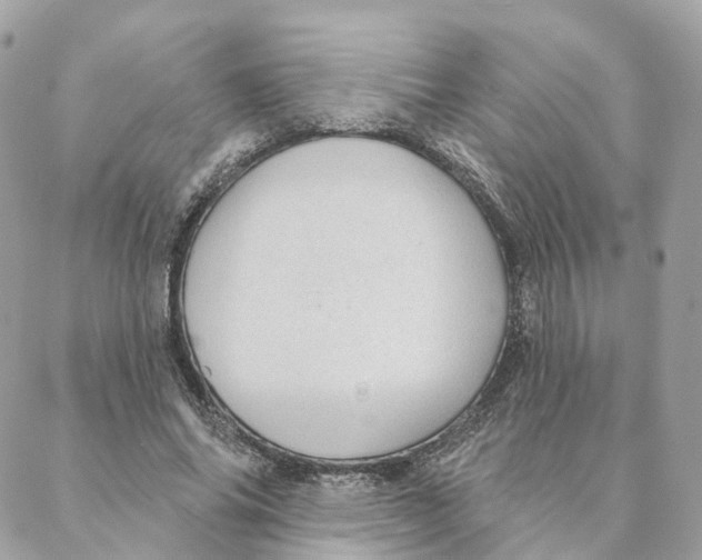 X0000088020686200706011325