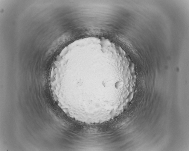 X0000088020687200706011325