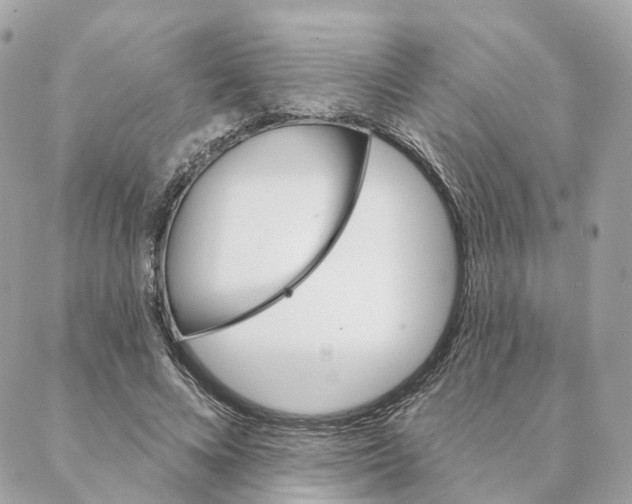 X0000088020688200706011325