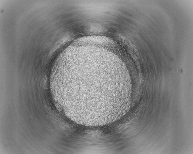 X0000088020689200706011325