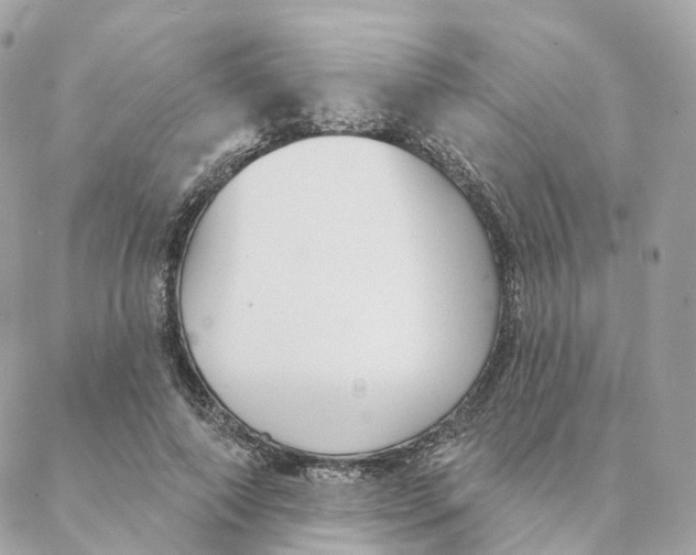 X0000088020690200706011325