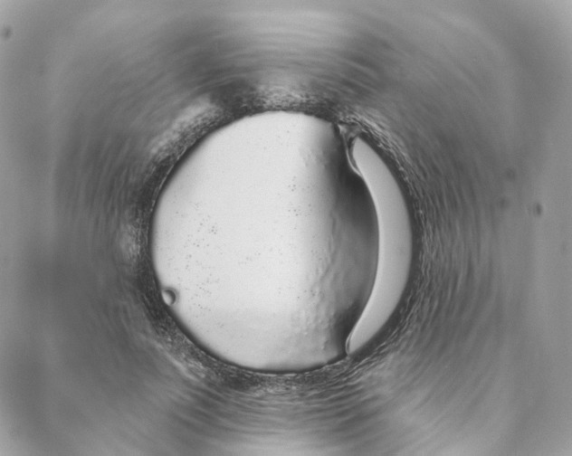 X0000088020691200706011325