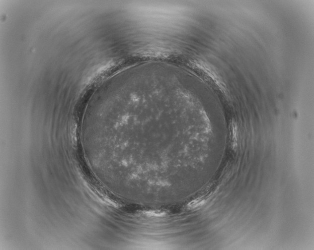 X0000088020692200706011325