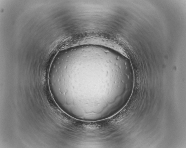 X0000088020693200706011325