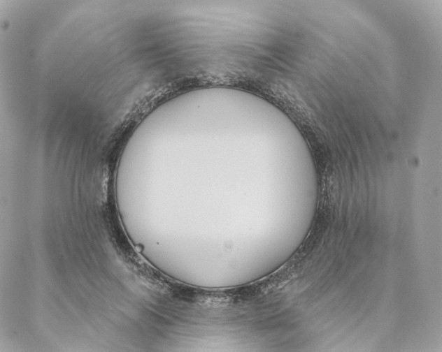 X0000088020694200706011325