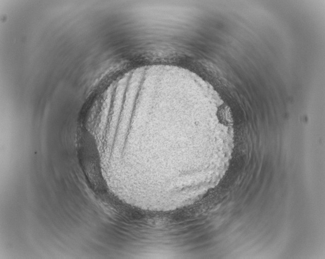 X0000088020695200706011324