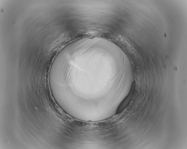 X0000088020696200706011324