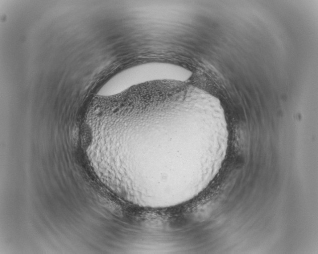 X0000088020697200706011324