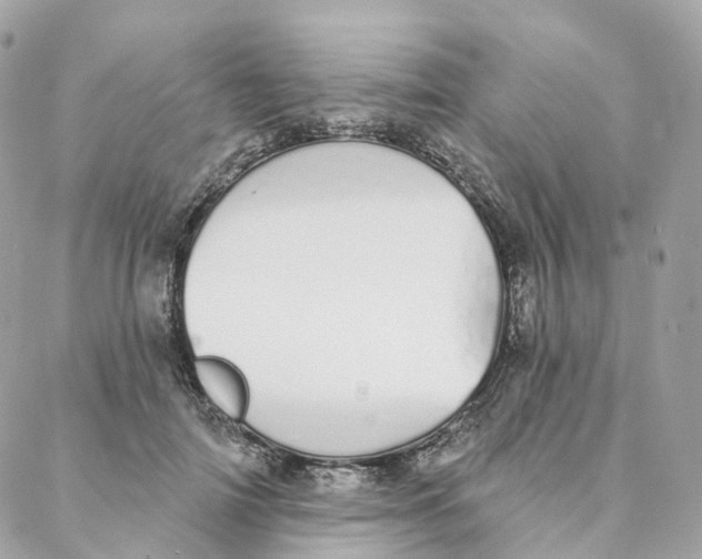 X0000088020698200706011324