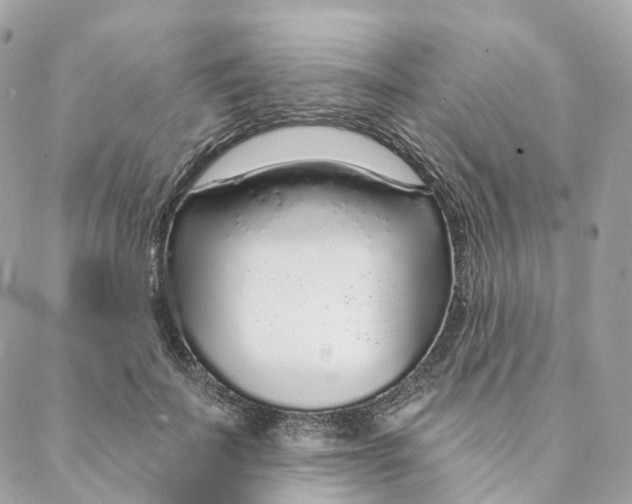 X0000088020699200706011324