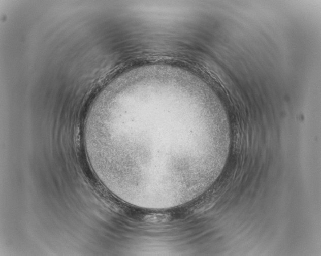 X0000088020700200706011324