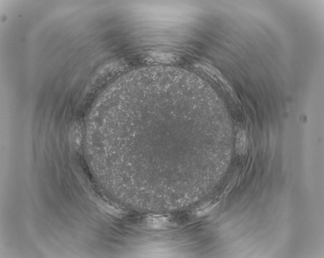 X0000088020701200706011324