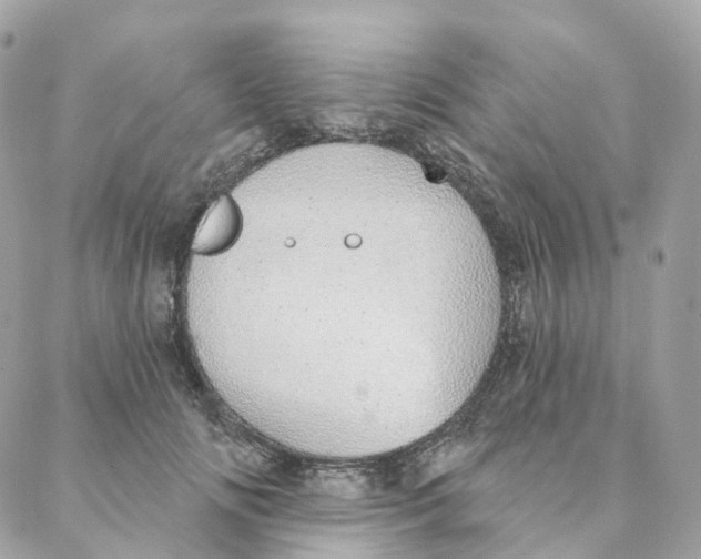 X0000088020702200706011324