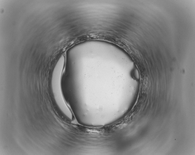 X0000088020703200706011324