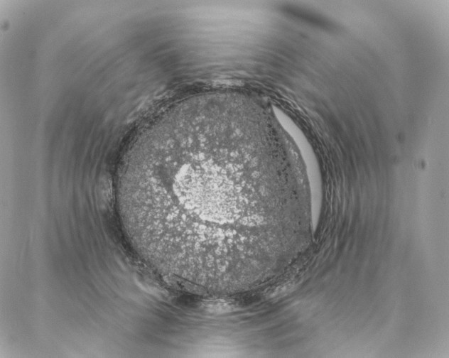 X0000088020704200706011324