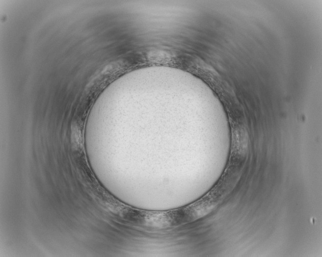 X0000088020705200706011324