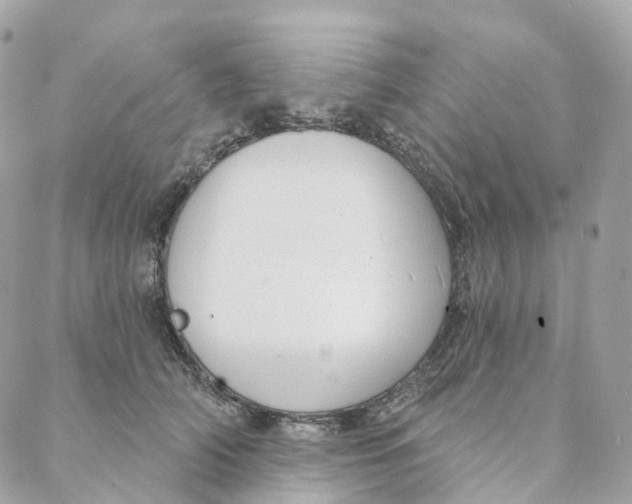 X0000088020706200706011324