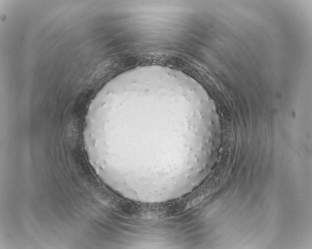 X0000088020707200706011324