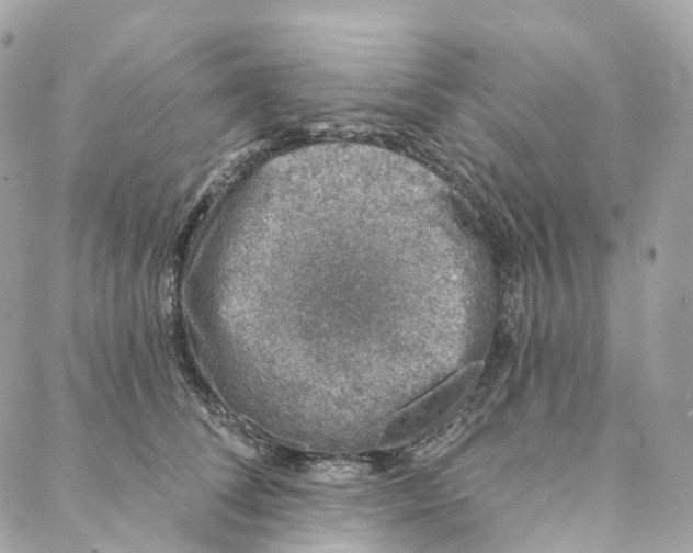 X0000088020708200706011324