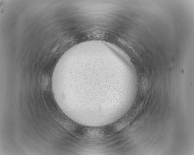 X0000088020709200706011324