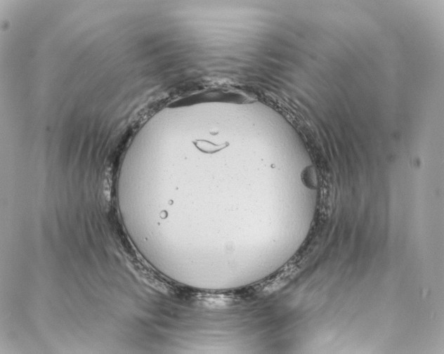 X0000088020710200706011324