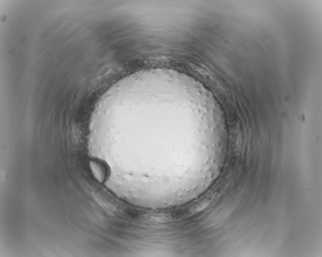 X0000088020711200706011324